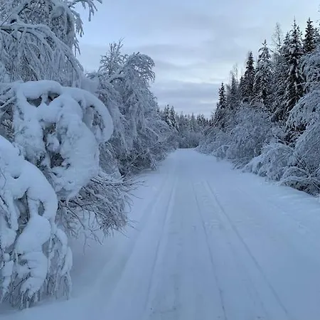 Kuuhimon Helmi 别墅 Parkano