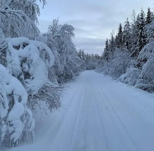 Kuuhimon Helmi Вилла Паркано